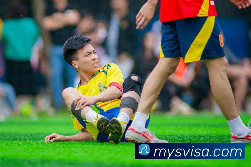 博亚汇appAPP 封面图